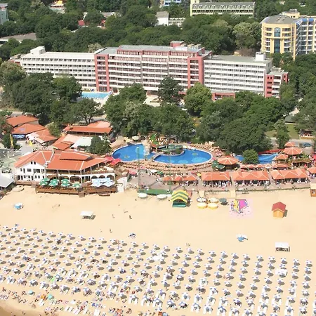 Gladiola ゴールデンサンド