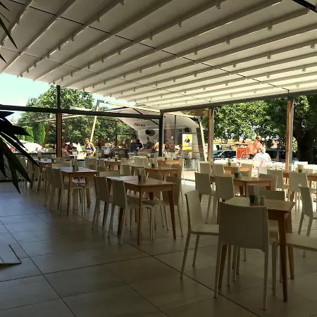 Gladiola Altın Kumlar