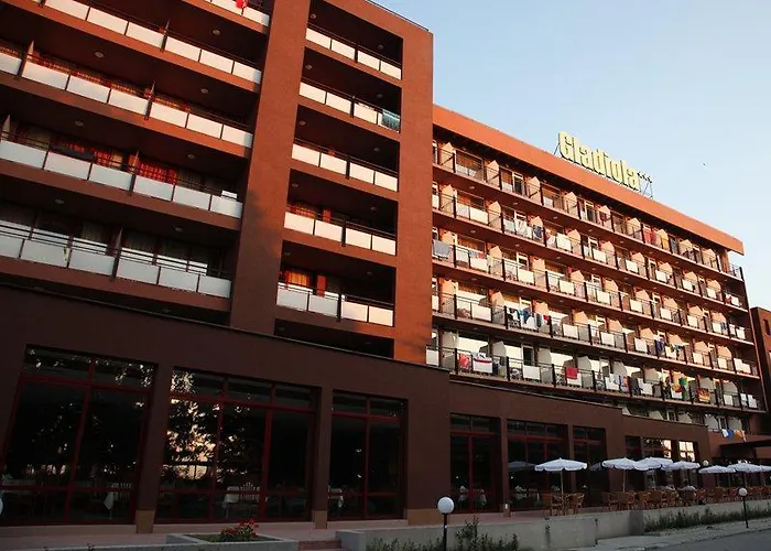 Gladiola Golden Sands