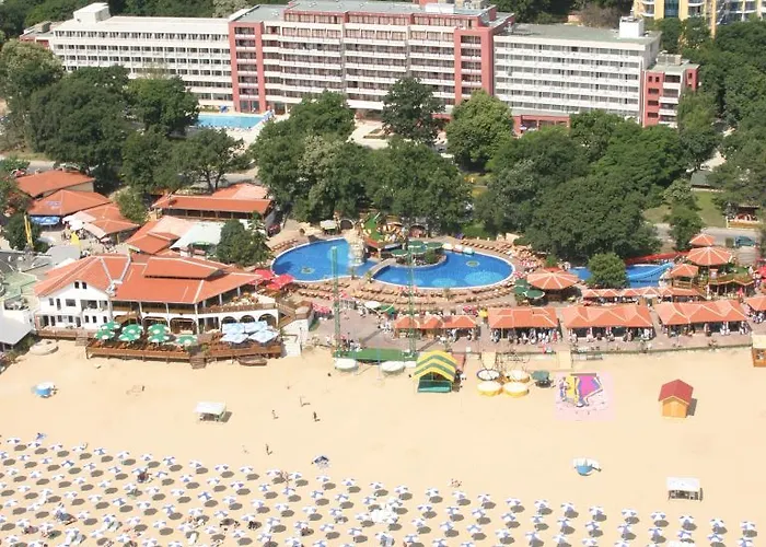 Gladiola Altın Kumlar